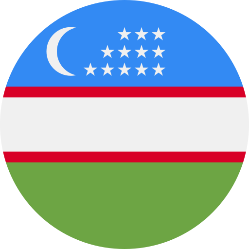 undefined Flag